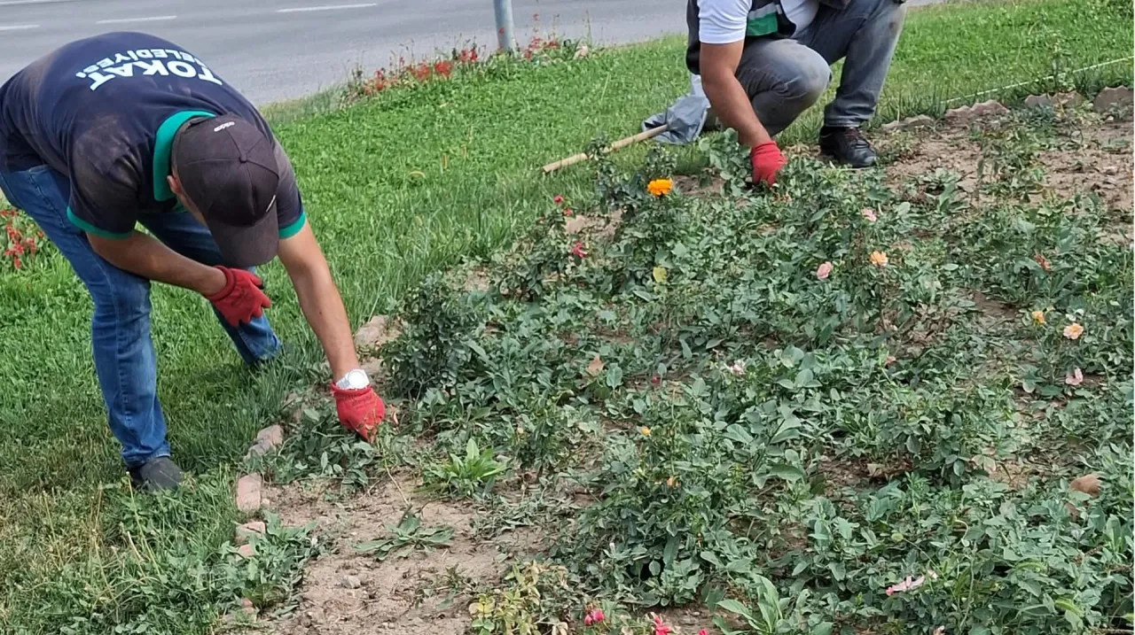 Çiçek ve gül çapalama çalışmaları