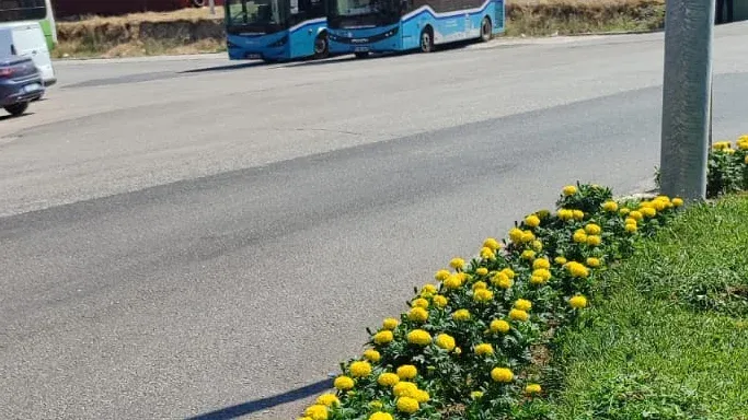 Çiçek çapalama çalışmaları